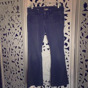 William Rast grey flares.